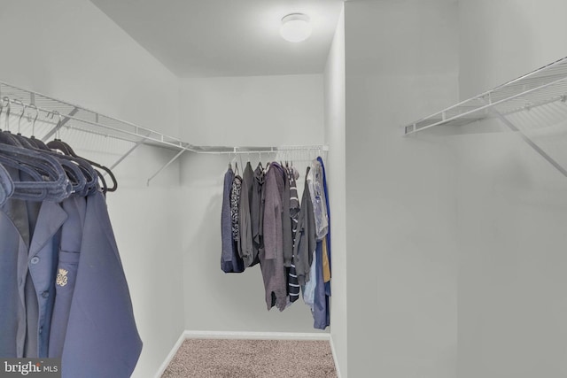 621 Mowat Unit 621, Hamilton, NJ 08690 - spacious closet with carpet flooring