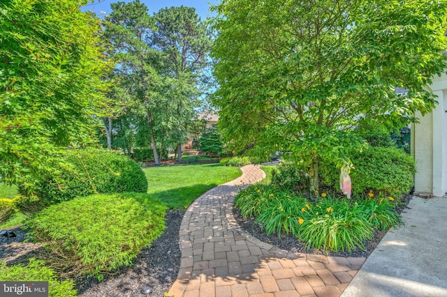 18 Knottingham Dr, Voorhees, NJ 08043 - view of green lawn