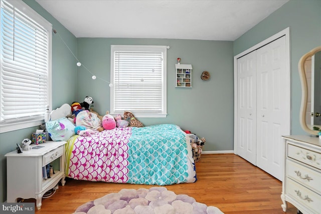 8141 Gray Haven Rd, Baltimore, MD 21222 - bedroom featuring light wood-type flooring and a closet