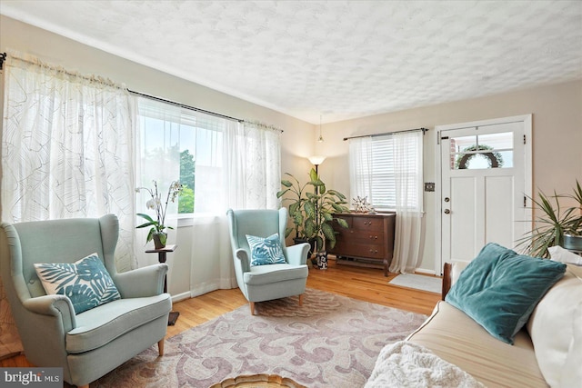 8141 Gray Haven Rd, Baltimore, MD 21222 - living area with a textured ceiling and wood finished floors