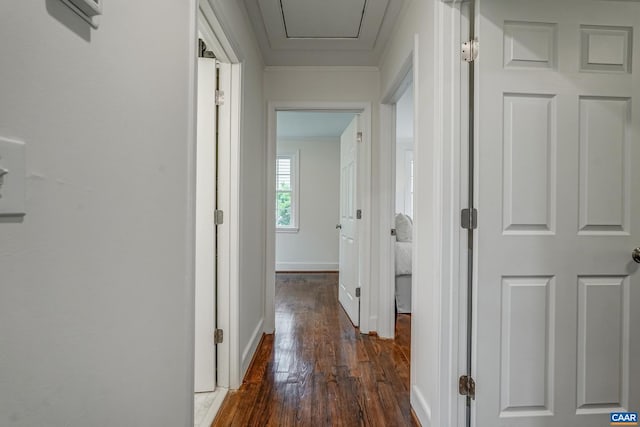 1623 Mason Ln, Charlottesville, VA 22903 - corridor with hardwood / wood-style flooring and ornamental molding