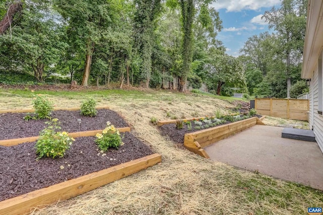 1623 Mason Ln, Charlottesville, VA 22903 - view of yard featuring a patio, view of wooded area, and a vegetable garden