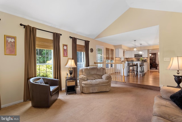 6 Thunder Gulch, Newark, DE 19702 - living area featuring light colored carpet and lofted ceiling