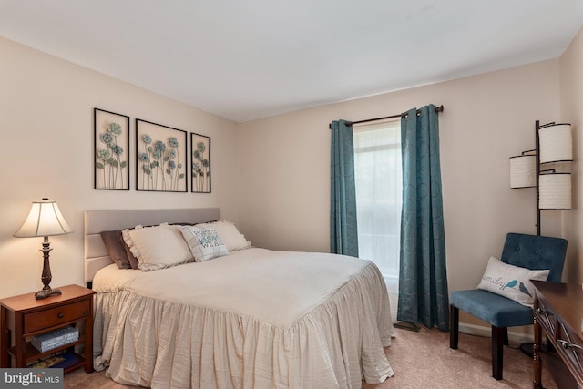 6 Thunder Gulch, Newark, DE 19702 - bedroom with carpet flooring