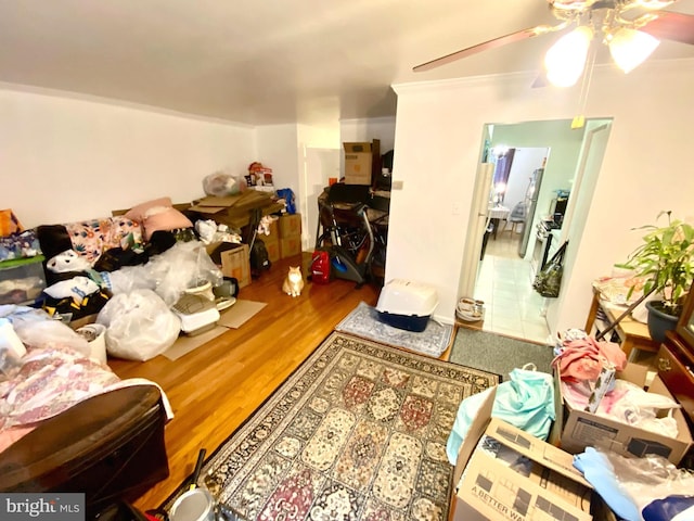 1064 W W Side Dr Unit 25-F, Gaithersburg, MD 20878 - living area with ceiling fan, wood finished floors, and ornamental molding