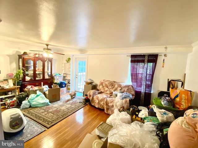 1064 W W Side Dr Unit 25-F, Gaithersburg, MD 20878 - living area featuring wood finished floors, ornamental molding, and ceiling fan