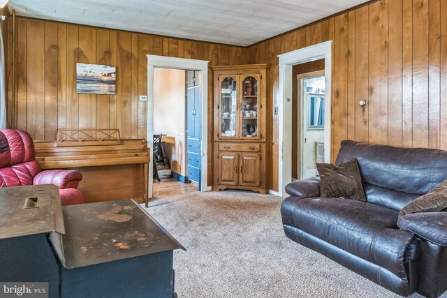 1714 S Main St, Bechtelsville, PA 19505 - living room with wood walls and carpet floors