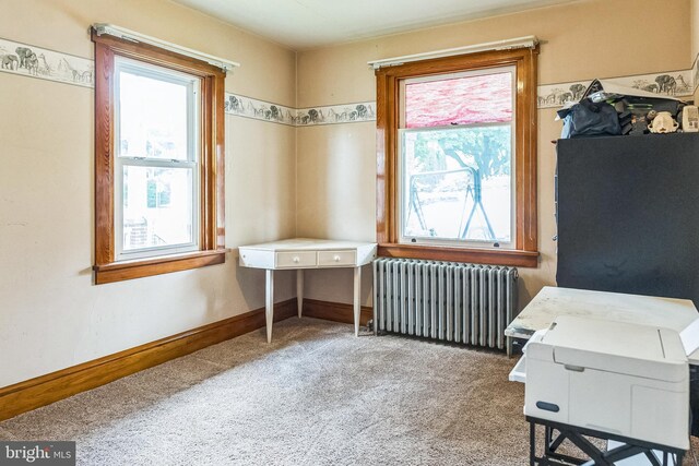 1714 S Main St, Bechtelsville, PA 19505 - office area featuring radiator heating unit, plenty of natural light, and carpet flooring