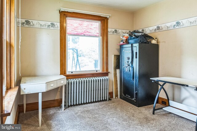 1714 S Main St, Bechtelsville, PA 19505 - washroom with radiator and carpet