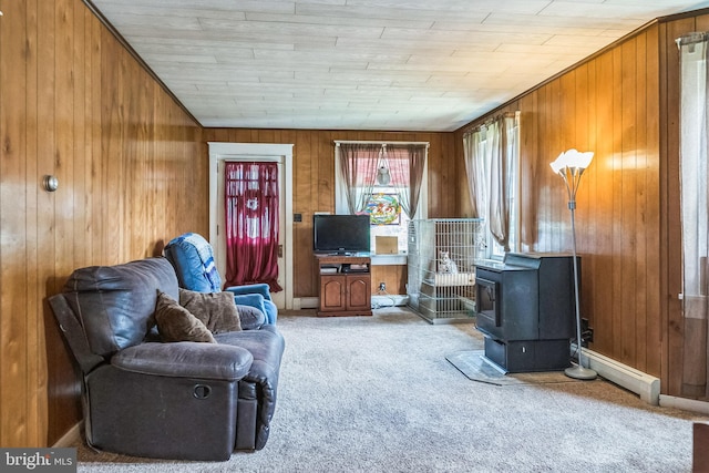 1714 S Main St, Bechtelsville, PA 19505 - carpeted living area with a wood stove and wooden walls