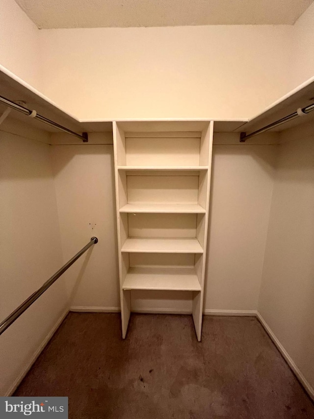 15100 Interlachen Dr Unit 4-701, Silver Spring, MD 20906 - walk in closet with carpet floors