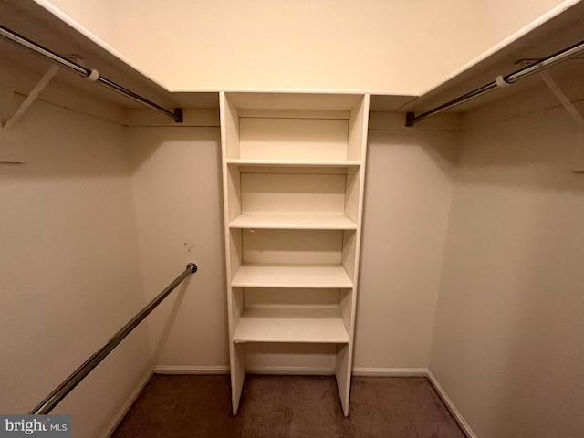 15100 Interlachen Dr Unit 4-701, Silver Spring, MD 20906 - walk in closet with carpet