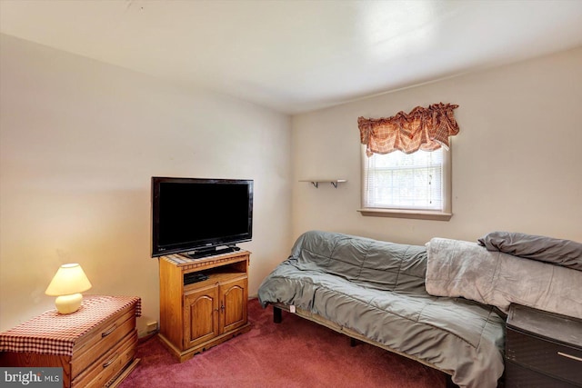 225 Bobby Jones Dr, Etters, PA 17319 - bedroom featuring carpet