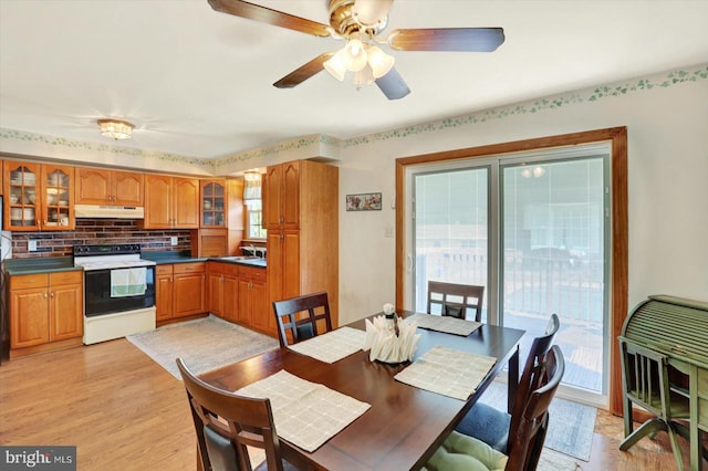 225 Bobby Jones Dr, Etters, PA 17319 - dining room featuring a ceiling fan and light wood finished floors