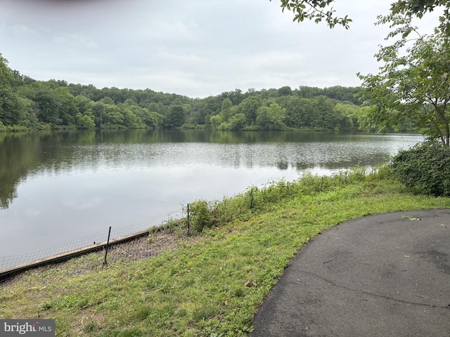 7763 New Providence Dr Unit 54, Falls Church, VA 22042 - water view featuring a forest