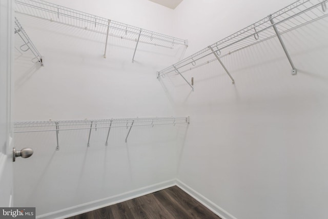 503 Sunset View Ter SE Unit 102, Leesburg, VA 20175 - spacious closet with dark wood finished floors