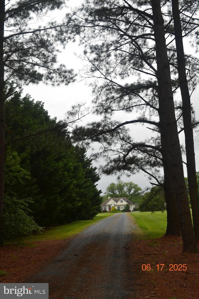 8698 Cummings Rd, Wittman, MD 21676 - view of dirt / gravel driveway
