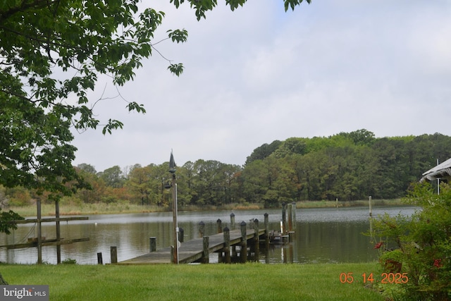 8698 Cummings Rd, Wittman, MD 21676 - dock area with a wooded view and a water view