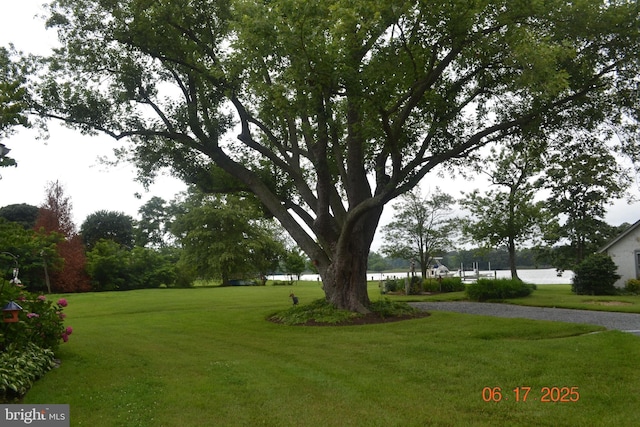 8698 Cummings Rd, Wittman, MD 21676 - view of green lawn