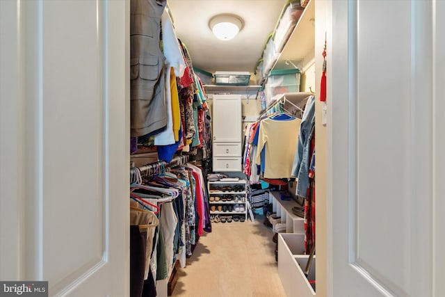 207 Saddle Dr, Furlong, PA 18925 - walk in closet with carpet flooring