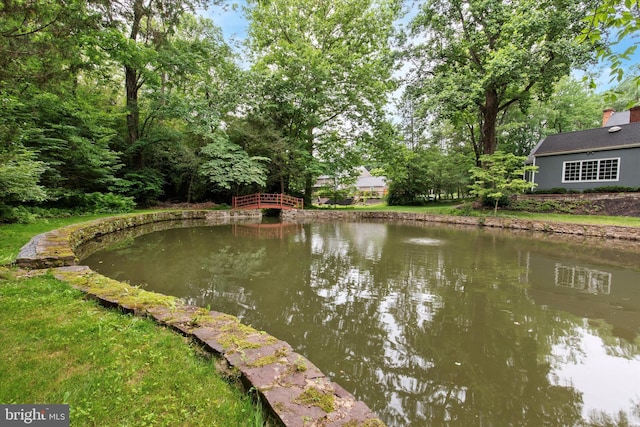 207 Saddle Dr, Furlong, PA 18925 - water view