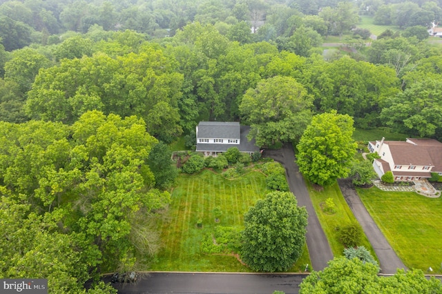 207 Saddle Dr, Furlong, PA 18925 - aerial view of a forest
