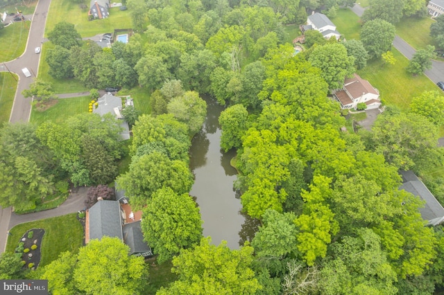 207 Saddle Dr, Furlong, PA 18925 - drone / aerial view of a large body of water