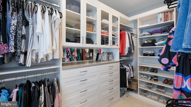 274 W Ashland St, Doylestown, PA 18901 - view of walk in closet