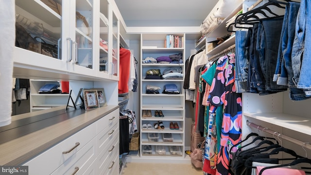 274 W Ashland St, Doylestown, PA 18901 - view of spacious closet