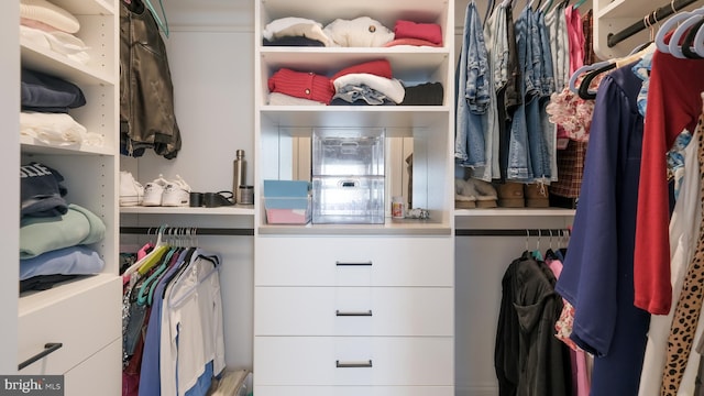 274 W Ashland St, Doylestown, PA 18901 - view of spacious closet