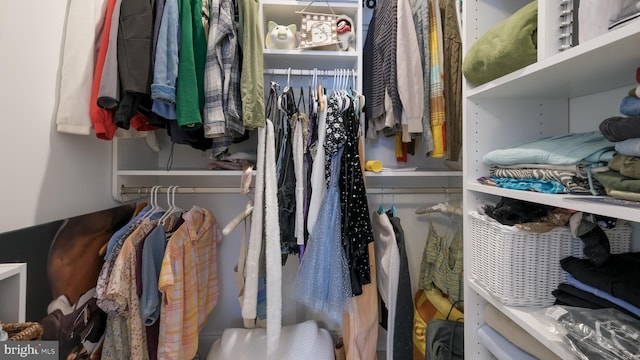 274 W Ashland St, Doylestown, PA 18901 - view of walk in closet