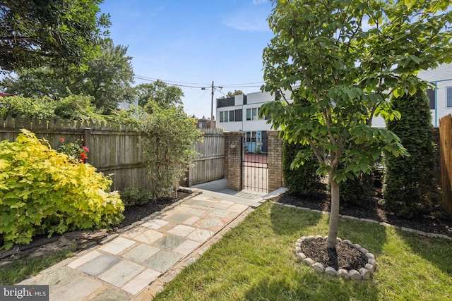 425 16th St SE, Washington, DC 20003 - fenced yard featuring a gate
