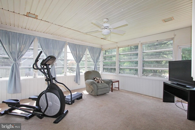 311 Norman Dr, Newark, DE 19702 - exercise area with carpet floors, a ceiling fan, healthy amount of natural light, and wooden walls