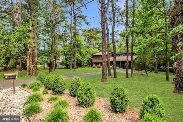 46 Grassy Lake Rd, Shamong, NJ 08088 - view of grassy yard