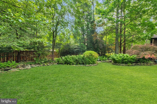 46 Grassy Lake Rd, Shamong, NJ 08088 - view of yard