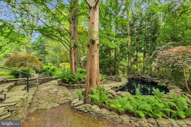 46 Grassy Lake Rd, Shamong, NJ 08088 - view of yard