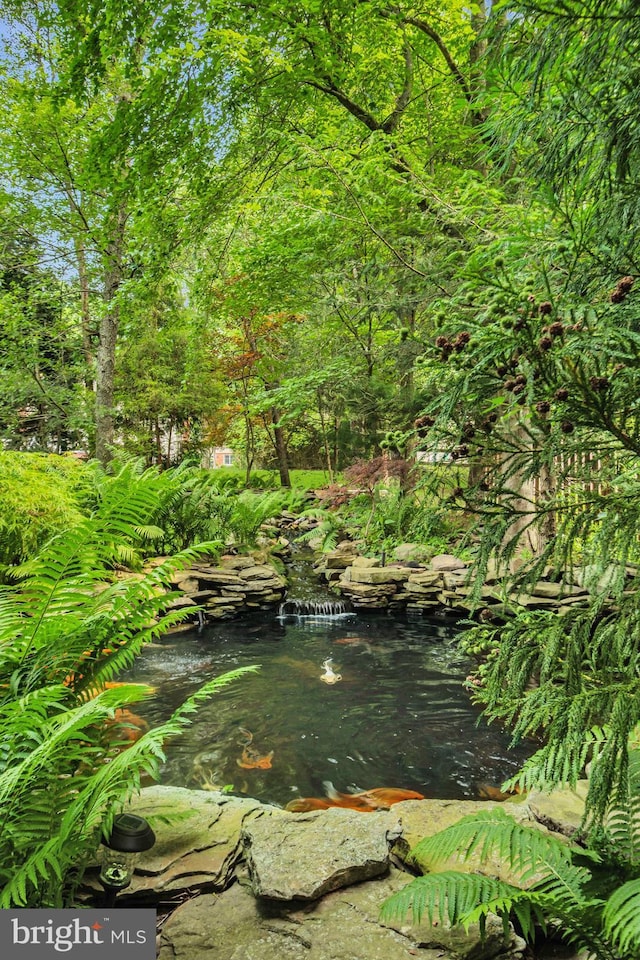 46 Grassy Lake Rd, Shamong, NJ 08088 - view of nature