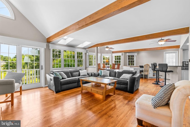 3773 Plum Hill Ct, Ellicott City, MD 21042 - living area featuring a ceiling fan, a skylight, and light wood-type flooring