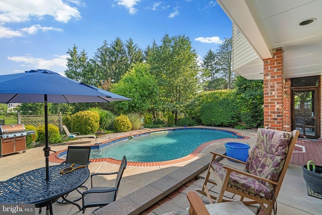 3773 Plum Hill Ct, Ellicott City, MD 21042 - view of pool with area for grilling and a patio