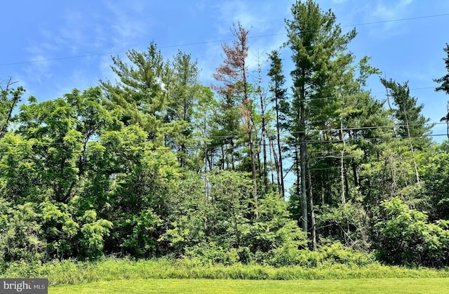 Firtree Ln, Cresaptown, MD 21502