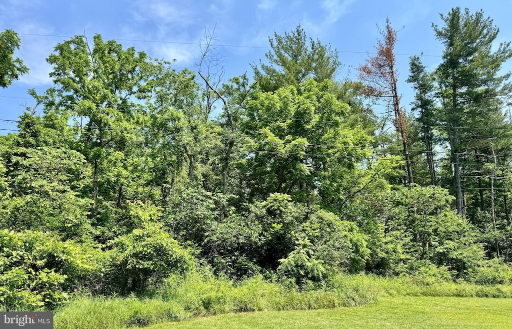 Firtree Ln, Cresaptown, MD 21502