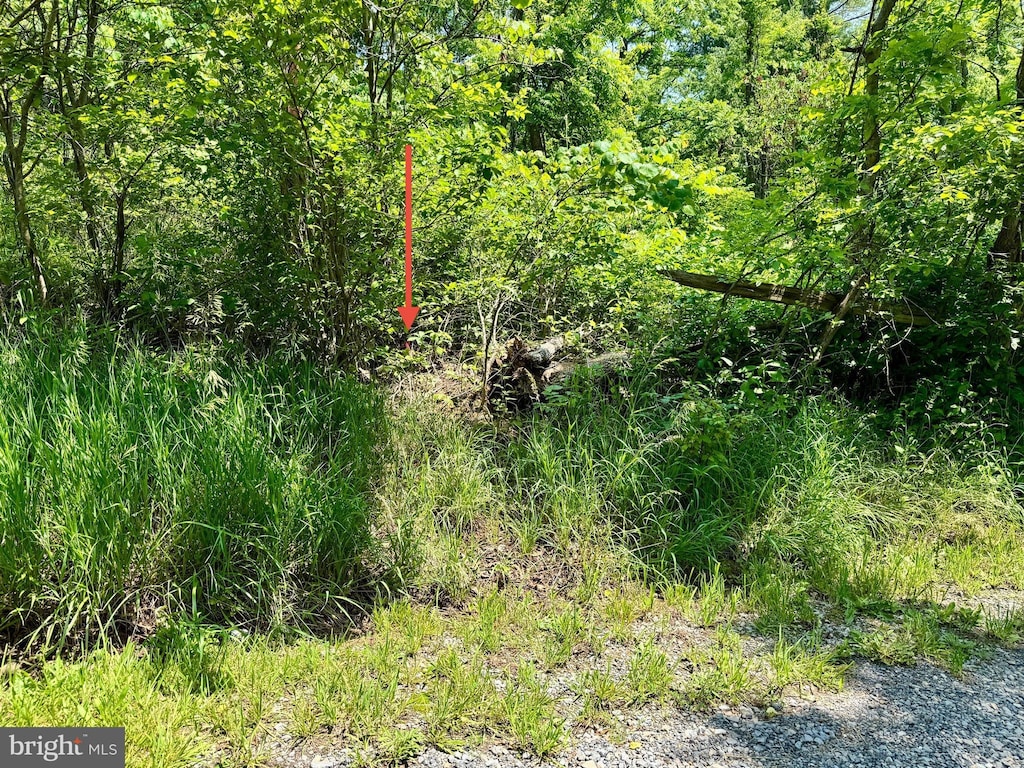 Firtree Ln, Cresaptown, MD 21502