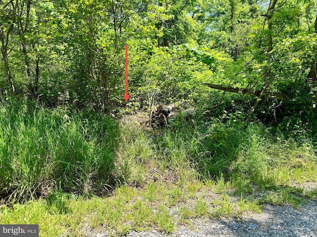 Firtree Ln, Cresaptown, MD 21502