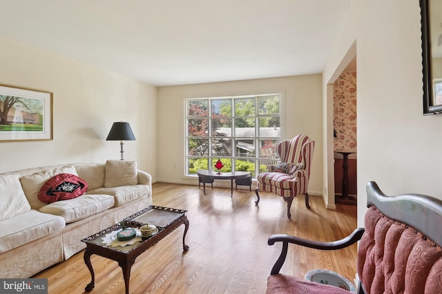 1606 Peacock Ln, Silver Spring, MD 20904 - living room with wood finished floors and baseboards