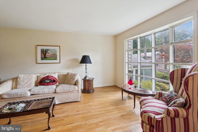 1606 Peacock Ln, Silver Spring, MD 20904 - living room featuring light wood-style flooring and baseboards