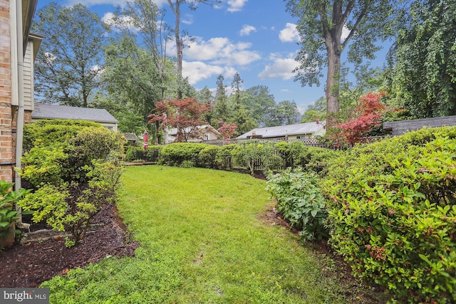 1606 Peacock Ln, Silver Spring, MD 20904 - view of yard