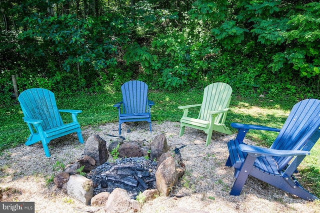 1903 Buck Mountain Rd, Bentonville, VA 22610 - view of yard
