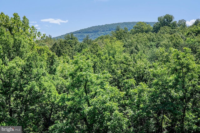 1903 Buck Mountain Rd, Bentonville, VA 22610 - mountain view with a forest