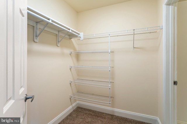 1009 Chillum Rd Unit 305, Hyattsville, MD 20782 - walk in closet featuring carpet