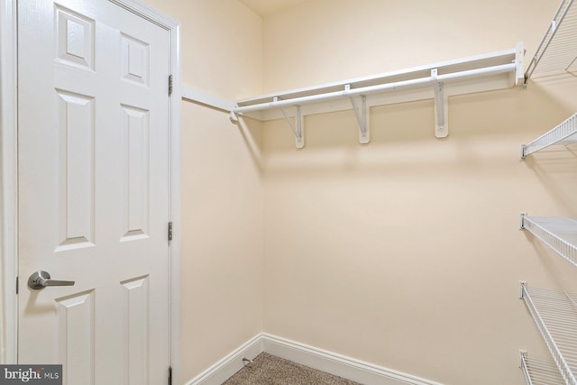 1009 Chillum Rd Unit 305, Hyattsville, MD 20782 - view of spacious closet